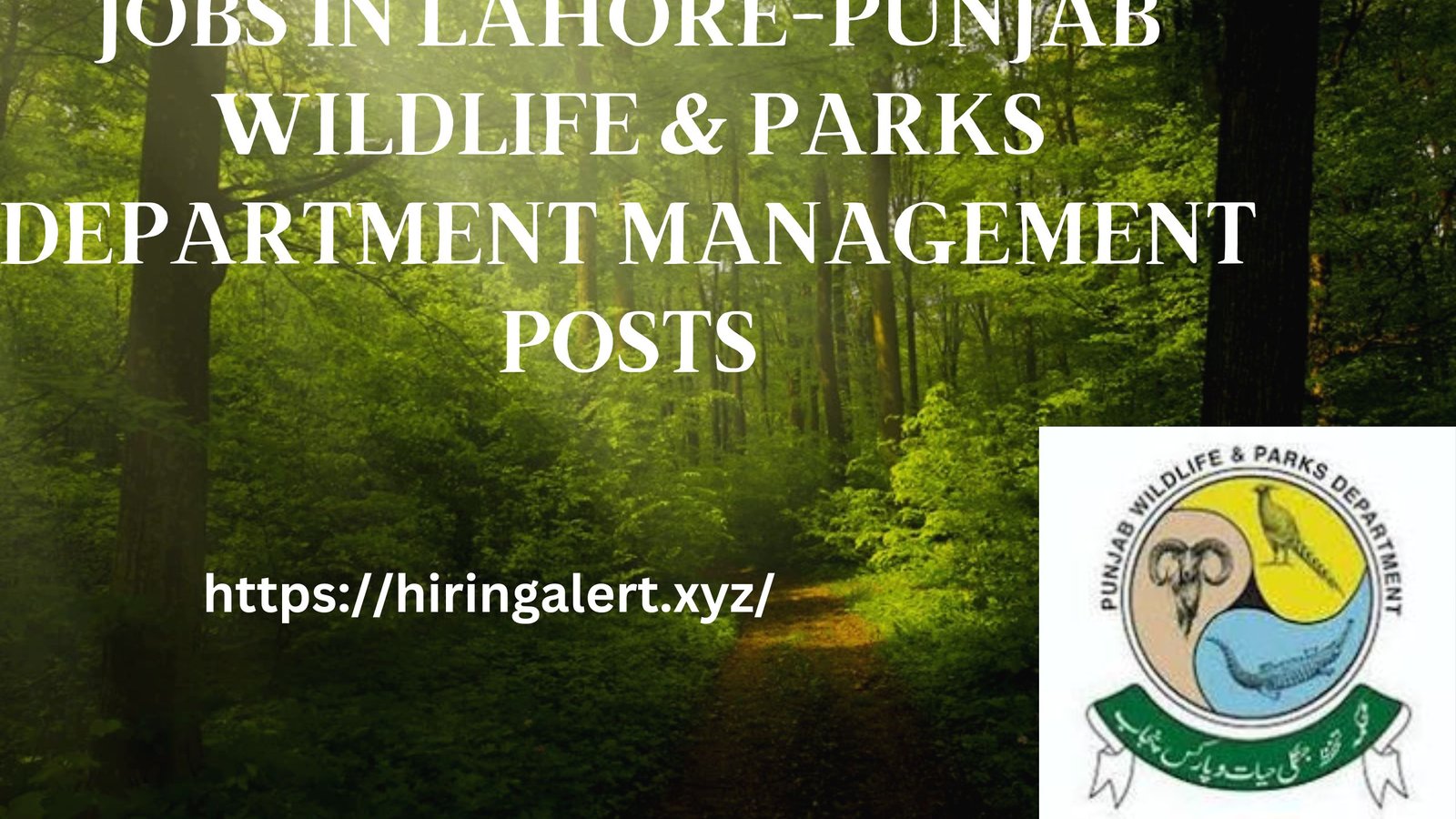 Jobs in Lahore-Punjab Wildlife & Parks Department Management Posts