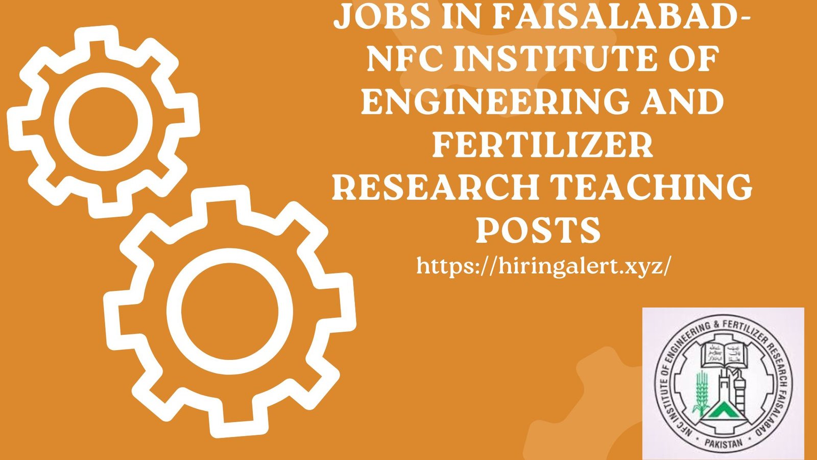 Jobs in Faisalabad-NFC Institute of Engineering and Fertilizer Research Teaching Posts 