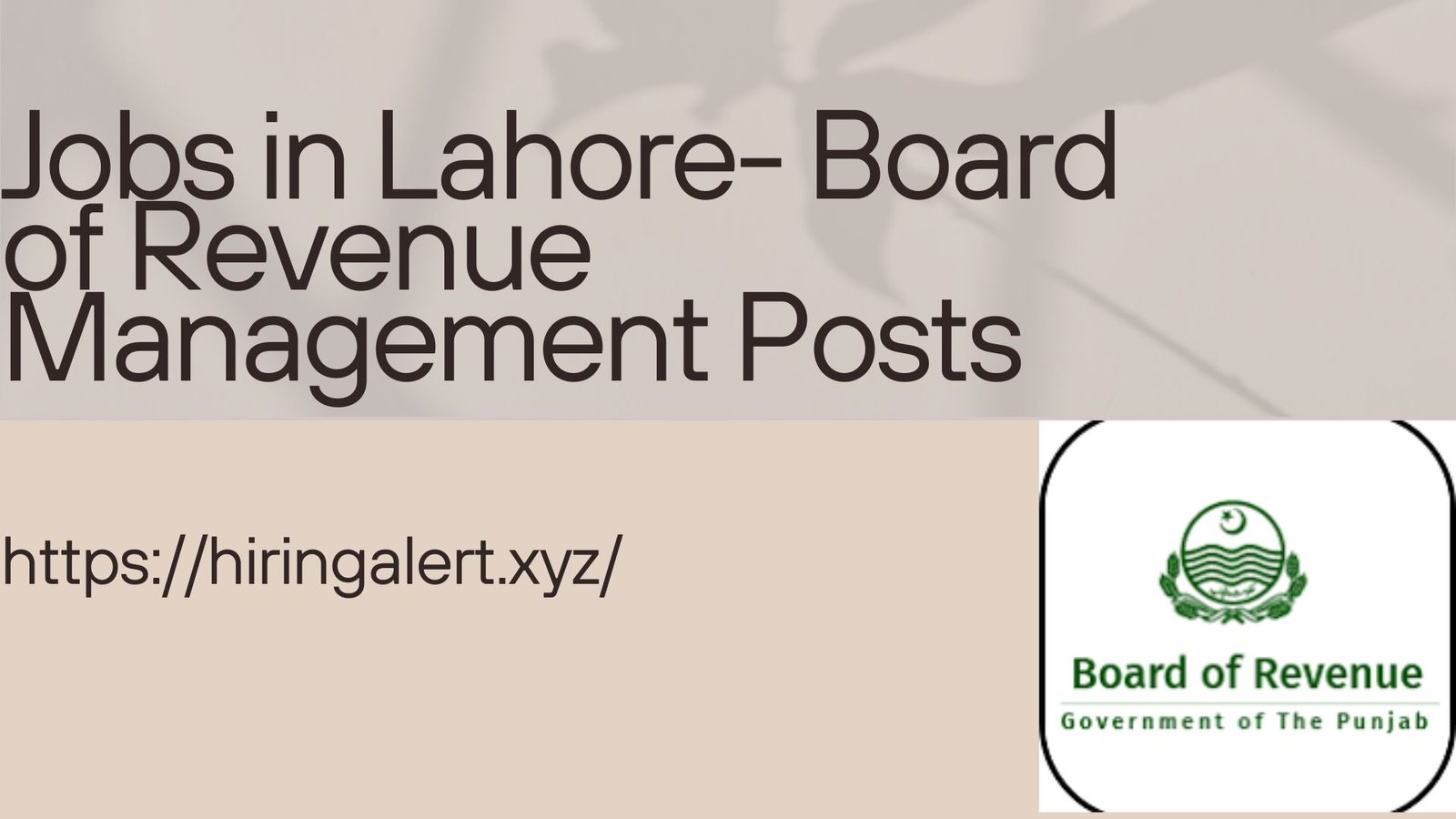 Jobs in Lahore- Board of Revenue Management Posts