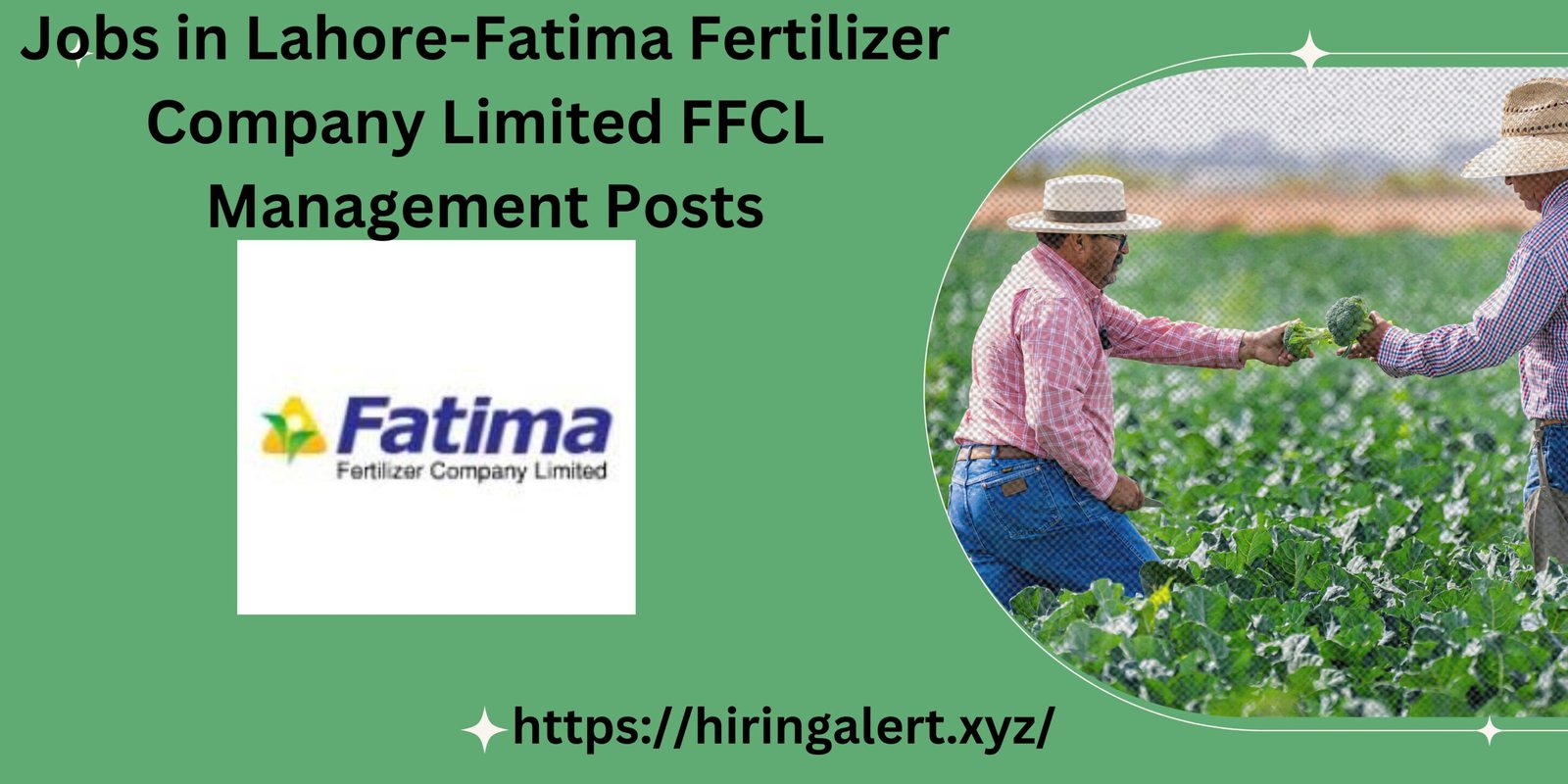 Jobs in Lahore-Fatima Fertilizer Company Limited FFCL Management Posts